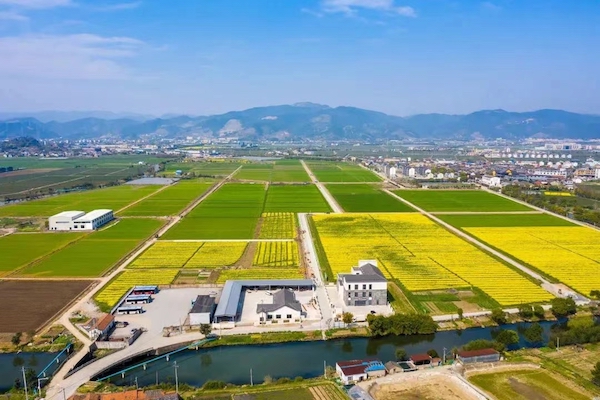 高標(biāo)準(zhǔn)農(nóng)田典型案例集錦丨“豐景”，在希望的田野