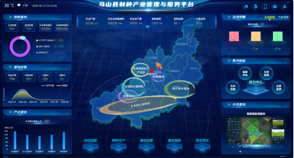 AI+農(nóng)業(yè) | 當(dāng)種子植入“數(shù)智芯片”，馬山縣打造制種基地新標(biāo)桿